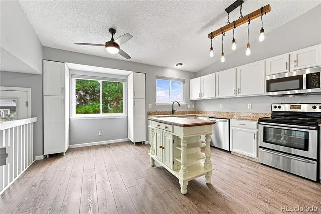 4506 Wildflowers Way Castle Rock, CO 80109