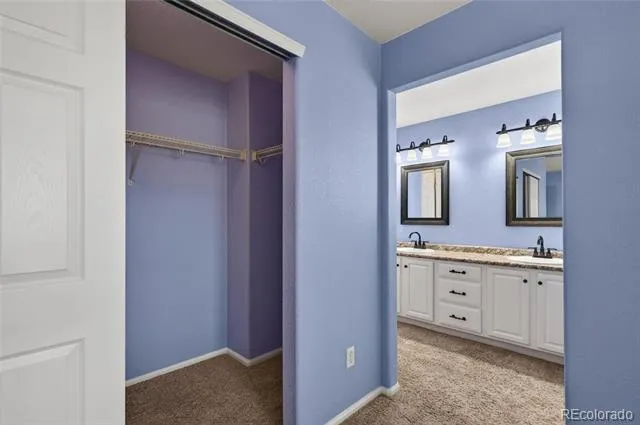 64 Ellendale Street Castle Rock, CO 80104