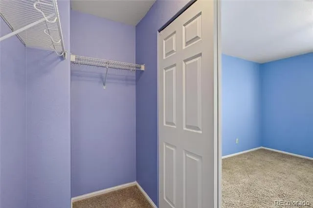 64 Ellendale Street Castle Rock, CO 80104