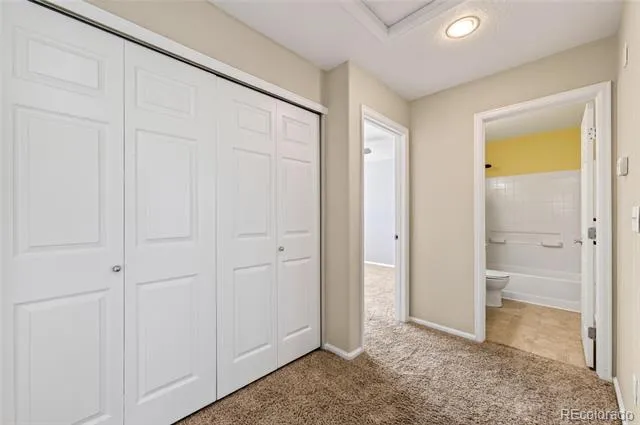 64 Ellendale Street Castle Rock, CO 80104