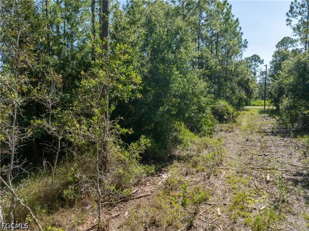 Argyle Drive Punta Gorda, FL 33955