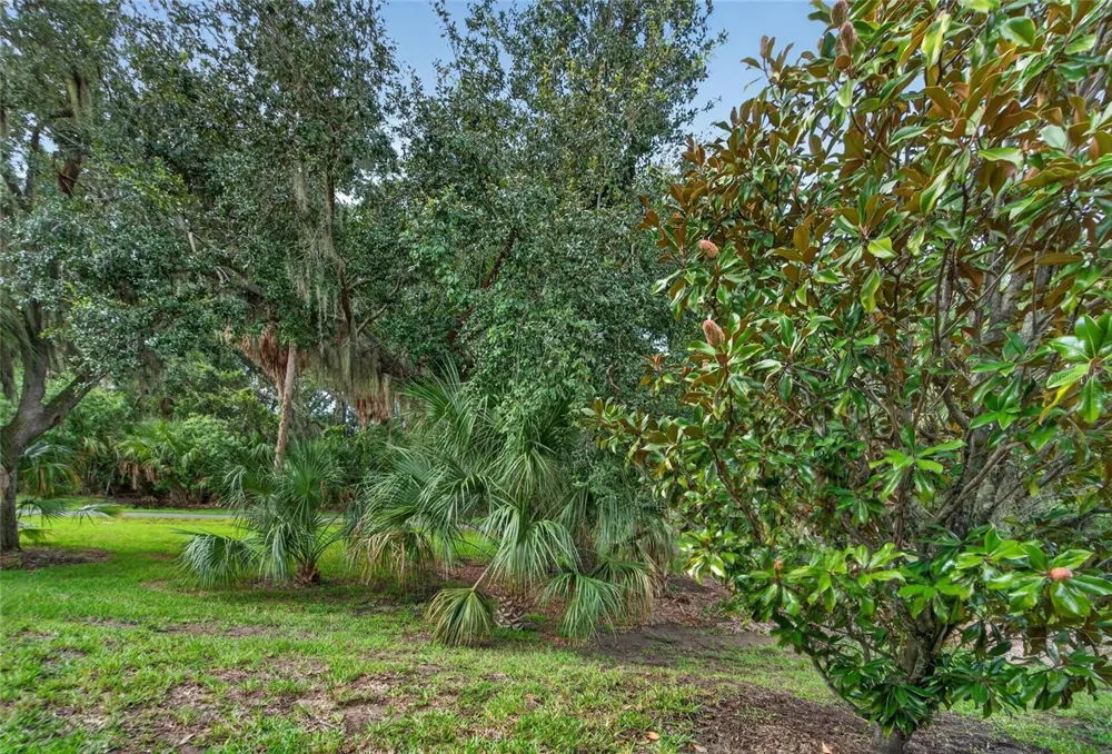 428 SENECA FALLS DRIVE Apollo Beach, FL 33572