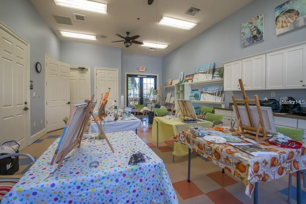 428 SENECA FALLS DRIVE Apollo Beach, FL 33572