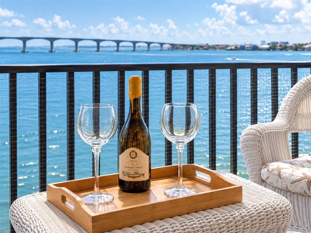6287 BAHIA DEL MAR CIRCLE #401 St Petersburg, FL 33715