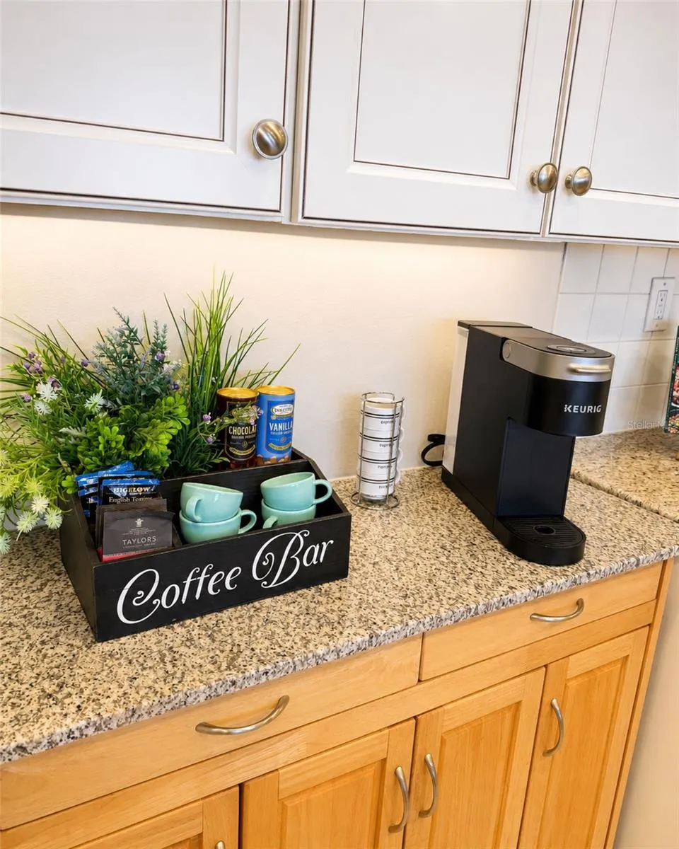 6287 BAHIA DEL MAR CIRCLE #401 St Petersburg, FL 33715
