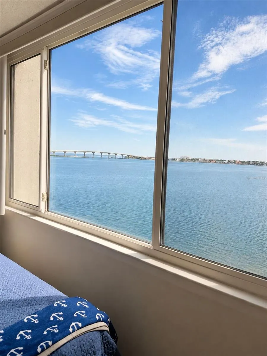 6287 BAHIA DEL MAR CIRCLE #401 St Petersburg, FL 33715