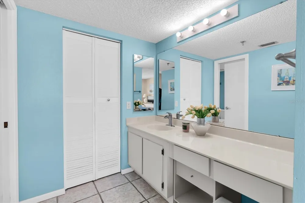 6287 BAHIA DEL MAR CIRCLE #401 St Petersburg, FL 33715