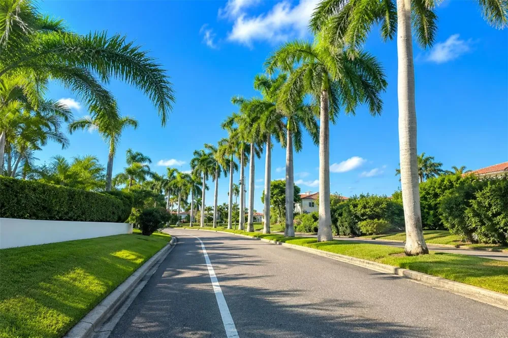 6287 BAHIA DEL MAR CIRCLE #401 St Petersburg, FL 33715