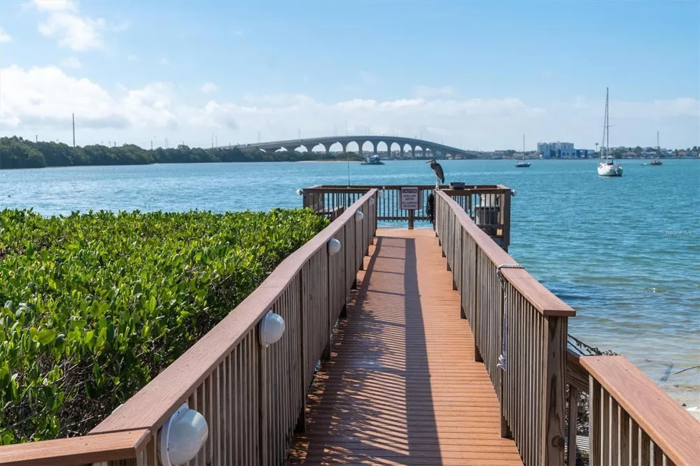 6287 BAHIA DEL MAR CIRCLE #401 St Petersburg, FL 33715