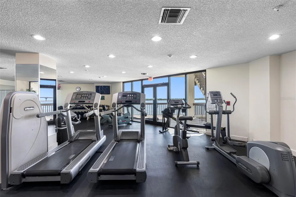 6287 BAHIA DEL MAR CIRCLE #401 St Petersburg, FL 33715