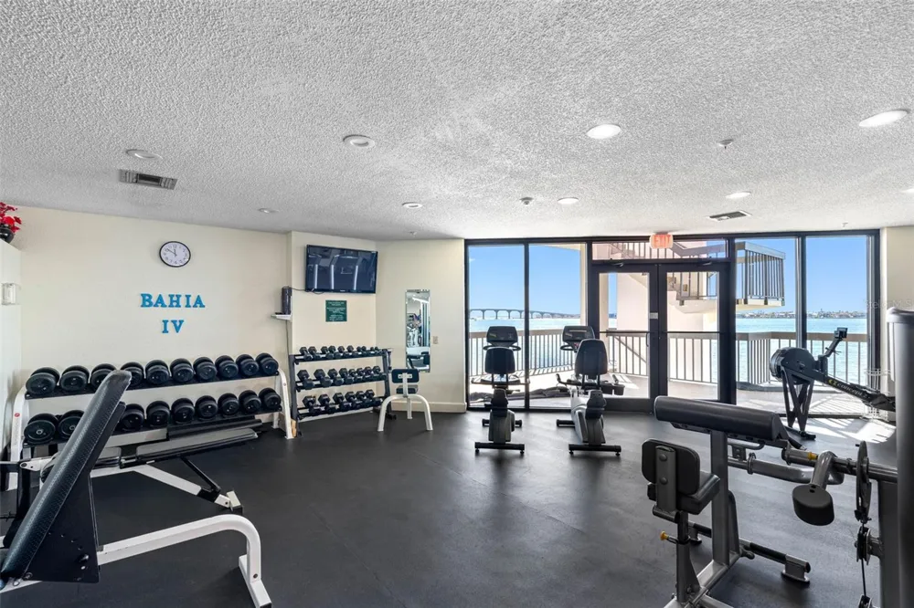 6287 BAHIA DEL MAR CIRCLE #401 St Petersburg, FL 33715
