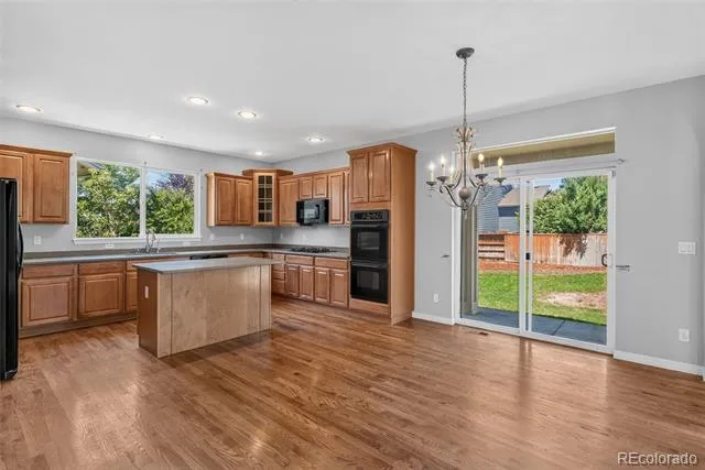 17463 E 98th Way Commerce City, CO 80022