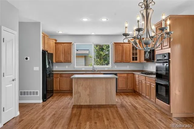 17463 E 98th Way Commerce City, CO 80022