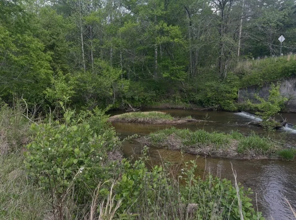 Track19A Hwy 2 Blue Ridge, GA 30513