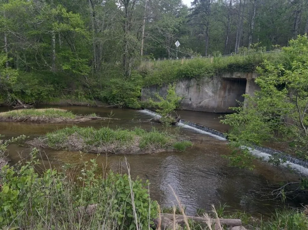 Track19A Hwy 2 Blue Ridge, GA 30513