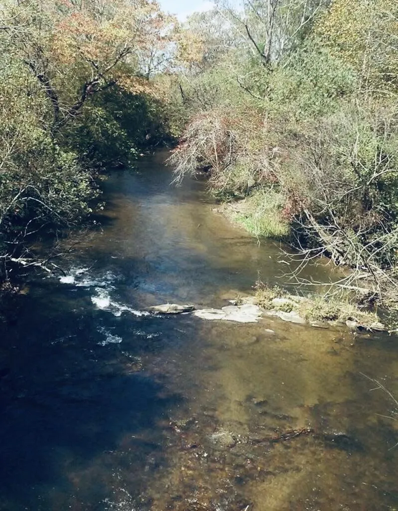 Track19A Hwy 2 Blue Ridge, GA 30513