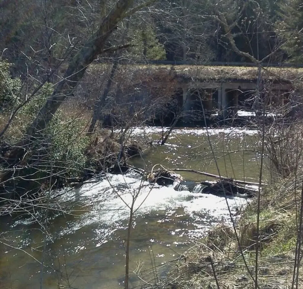 Track19A Hwy 2 Blue Ridge, GA 30513