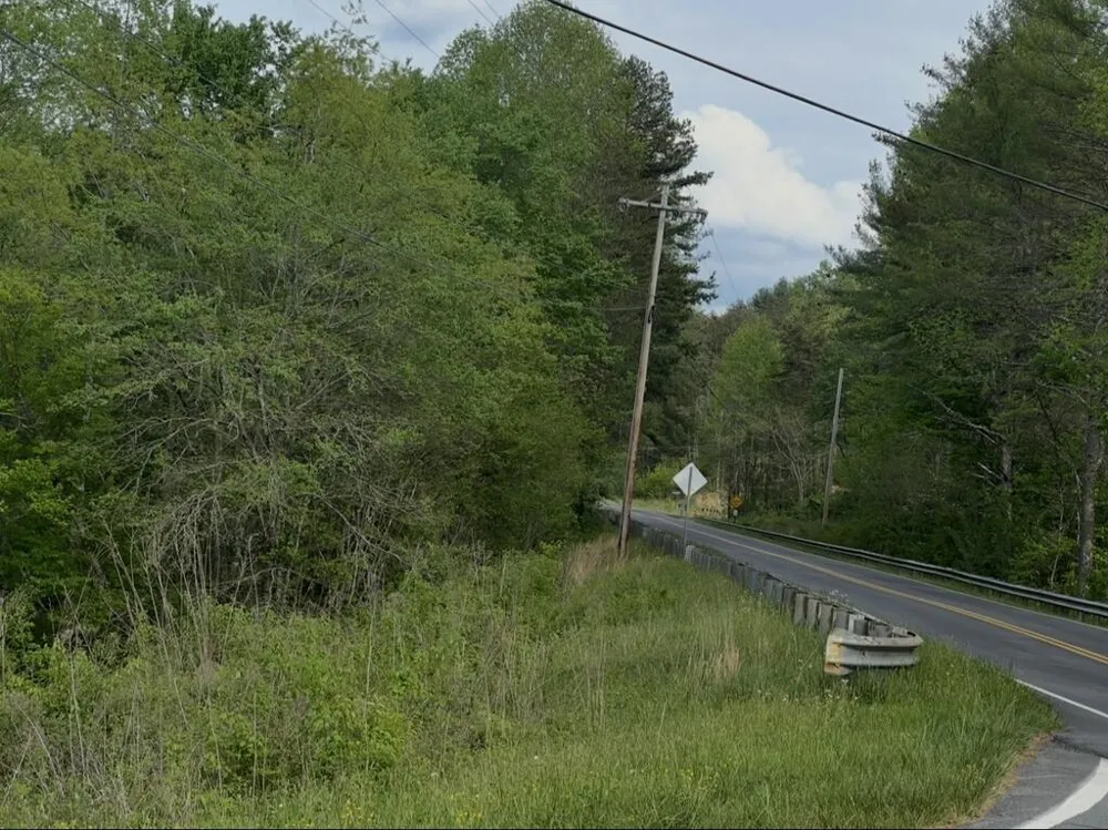 Track19A Hwy 2 Blue Ridge, GA 30513