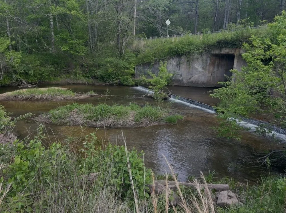 Track19A Hwy 2 Blue Ridge, GA 30513