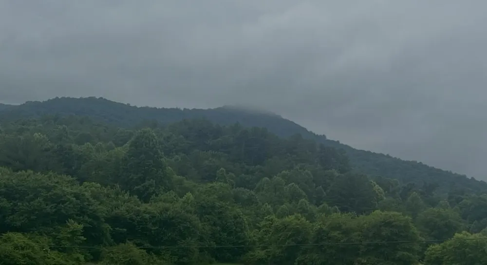 Track19A Hwy 2 Blue Ridge, GA 30513
