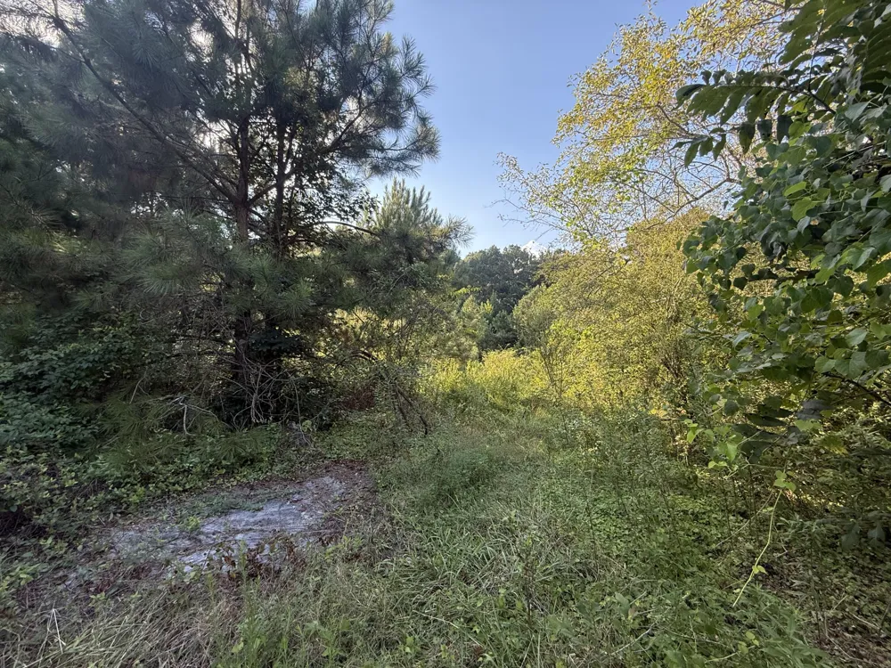 14446 Hwy 151 Trion, GA 30753