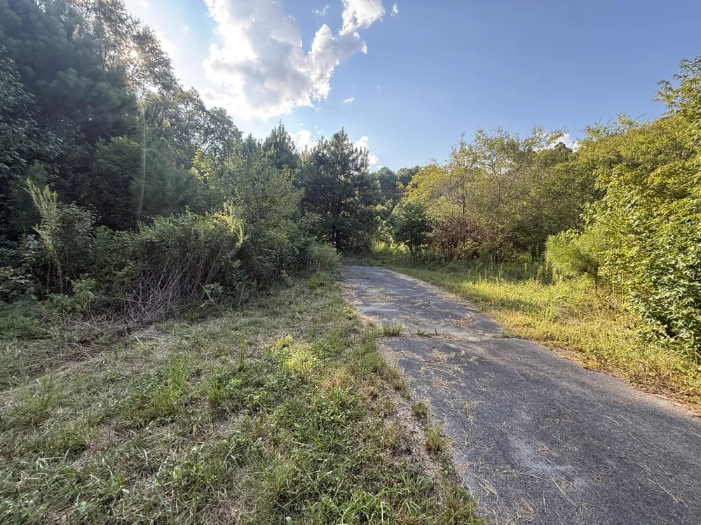 14446 Hwy 151 Trion, GA 30753