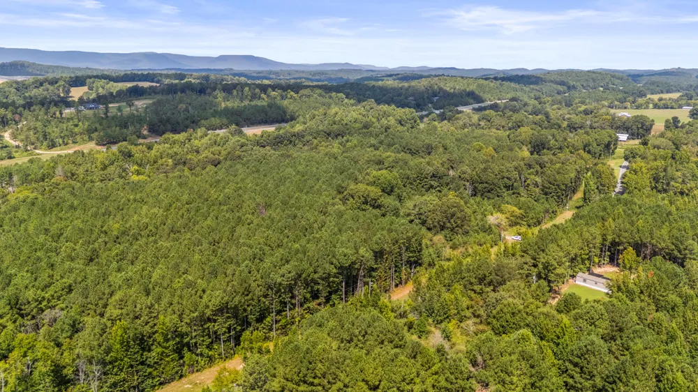 14446 Hwy 151 Trion, GA 30753
