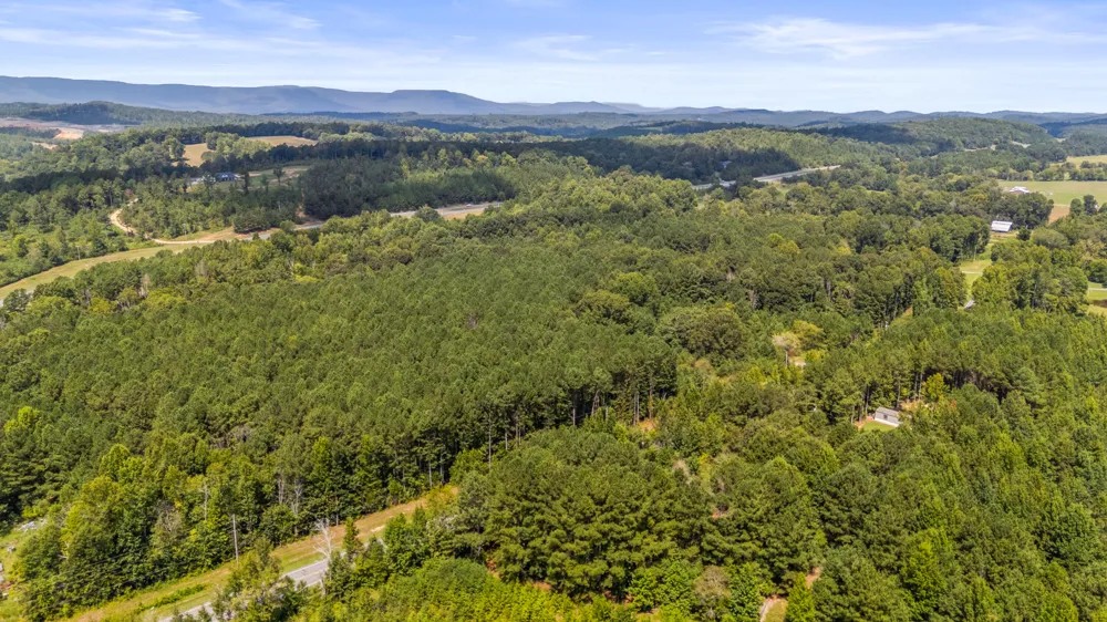 14446 Hwy 151 Trion, GA 30753