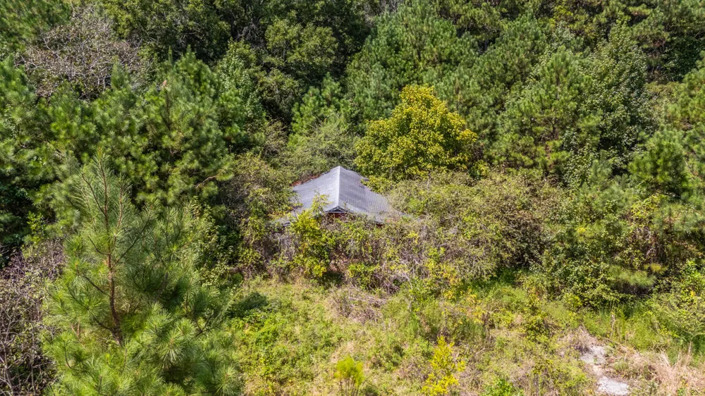 14446 Hwy 151 Trion, GA 30753