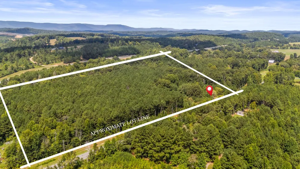 14446 Hwy 151 Trion, GA 30753