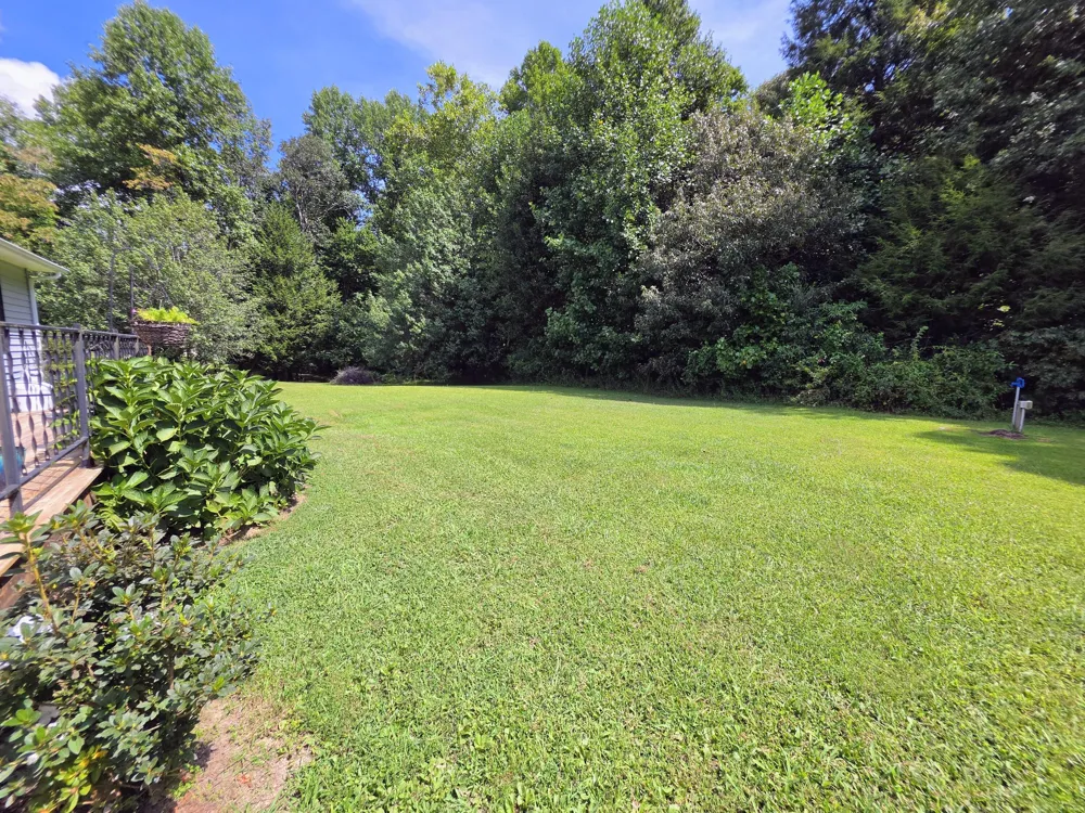 161 S 20th Avenue Gruetli Laager, TN 37339