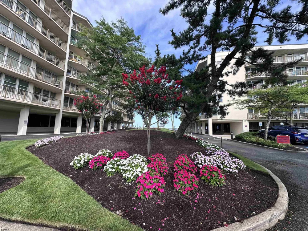 500 Bay Ave Ocean City, NJ 08226