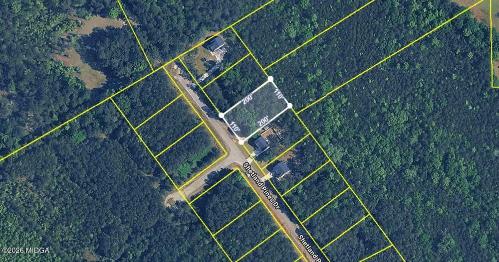163 Shetland Pines Drive Macon, GA 31216