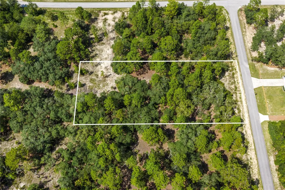 000 SW LOBELIA CT Dunnellon, FL 34430