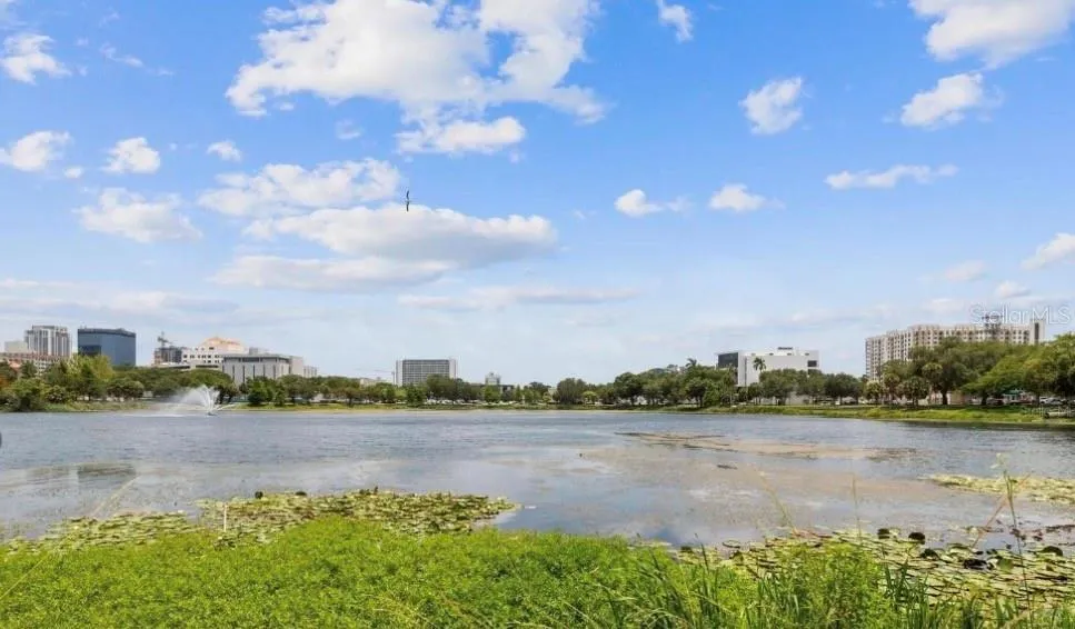 701 MIRROR LAKE DRIVE #317 St Petersburg, FL 33701