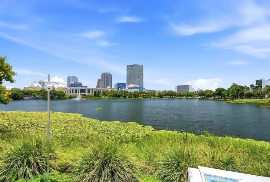 701 MIRROR LAKE DRIVE #317 St Petersburg, FL 33701