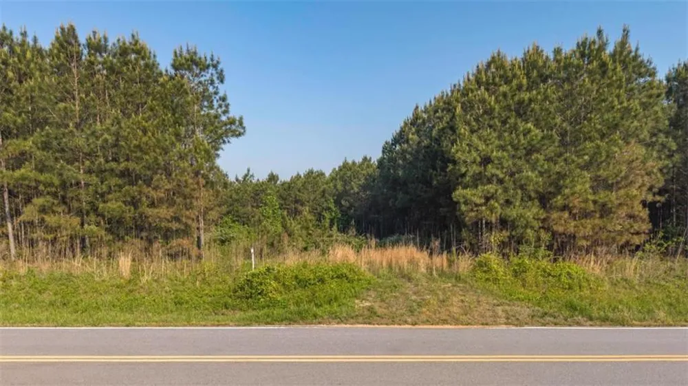 0 Mt. Zion Church Road Tallapoosa, GA 30176