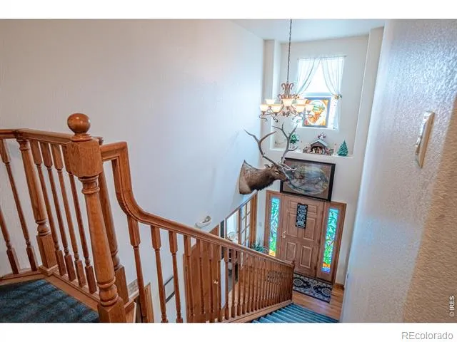 2827 W County Road 80 Wellington, CO 80549