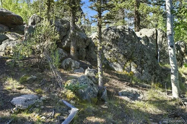 152 Ithaca Lane Como, CO 80432
