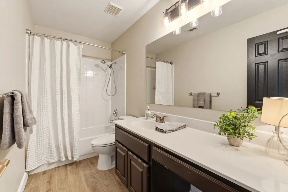 2315 Arnie Lane Round Rock, TX 78664