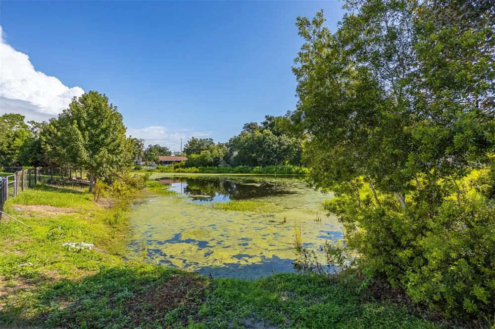 12106 CLEARBROOK COURT Riverview, FL 33569