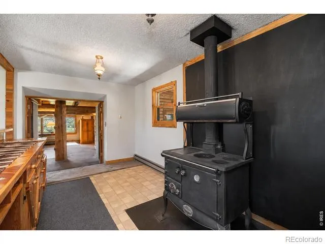 678 Palisade Mountain Drive Drake, CO 80515