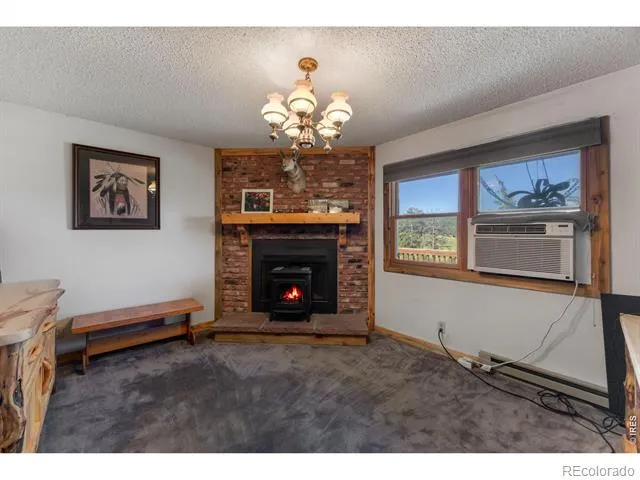678 Palisade Mountain Drive Drake, CO 80515