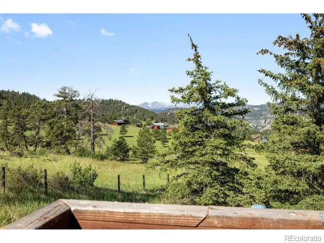 678 Palisade Mountain Drive Drake, CO 80515