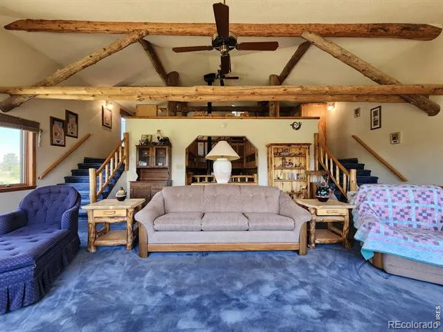 678 Palisade Mountain Drive Drake, CO 80515