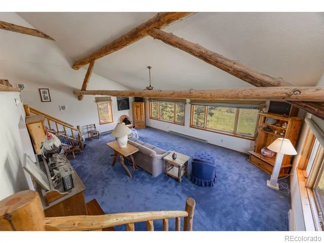 678 Palisade Mountain Drive Drake, CO 80515