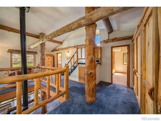 678 Palisade Mountain Drive Drake, CO 80515