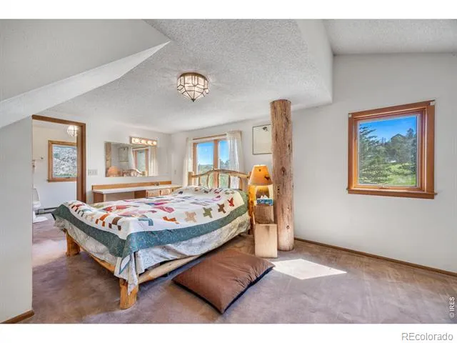 678 Palisade Mountain Drive Drake, CO 80515