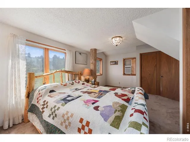 678 Palisade Mountain Drive Drake, CO 80515