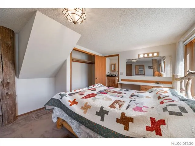 678 Palisade Mountain Drive Drake, CO 80515
